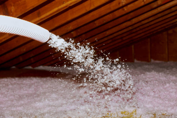 Best Specialized Insulation Services in Cheney, KS