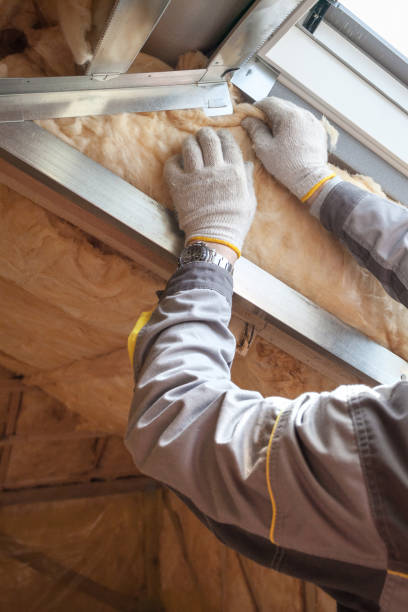 Best Geographic-Specific Insulation Services in Cheney, KS